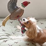 Sophie Allport Pheasant Rope Dog Toy