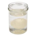 wp-image14790209273903-png