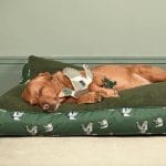 wp-image38585195364581-png