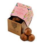 wp-image41607892631781-png