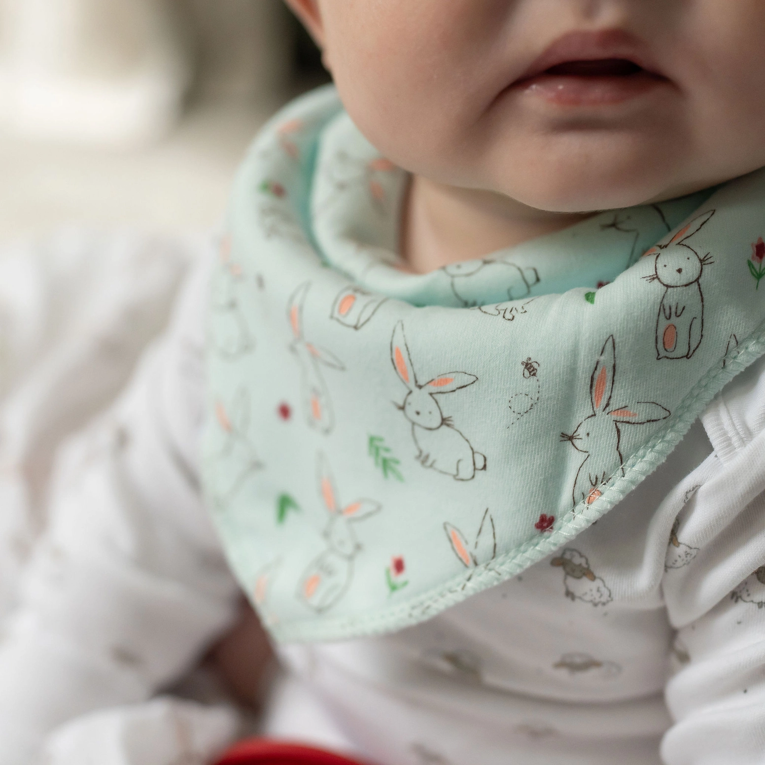 Mint Bunnies Cotton Bib